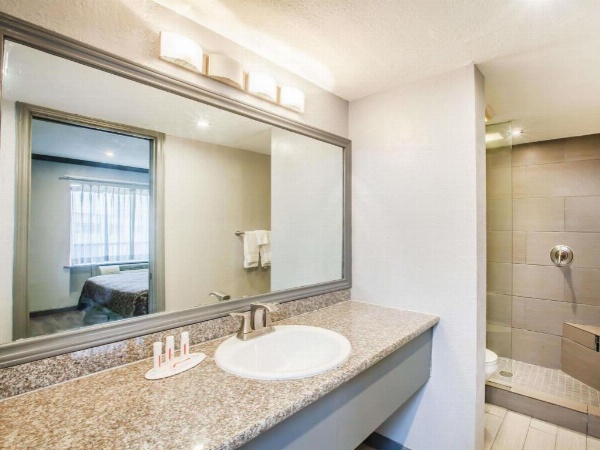 Days Inn by Wyndham San Antonio Alamo/Riverwalk image 16